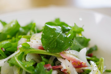 ルッコラとタコのサラダ