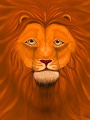 A majestic lion with a kind look and a magnificent mane