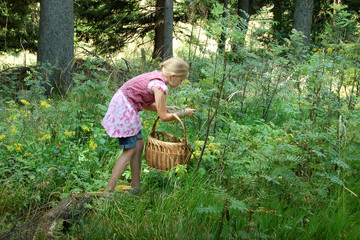 dziewczyna z koszem w lesie, grzybobranie