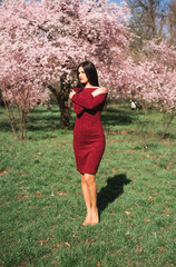 beautiful young brunette with long hair in a park on a spring in the middle of flowering trees in a red dress