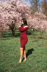 beautiful young brunette with long hair in a park on a spring in the middle of flowering trees in a red dress