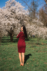 beautiful young brunette with long hair in a park on a spring in the middle of flowering trees in a red dress
