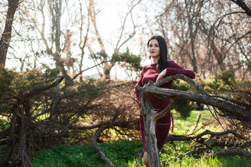 beautiful young brunette with long hair in a park on a spring in the middle of flowering trees in a red dress