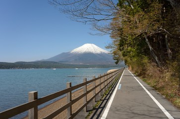 Mt. Fuji with cycling road by yamanakako lake in the spring