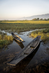 Obraz premium Boats on a field