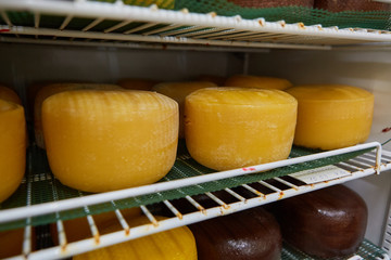 The birth of cheese: ripening in the refrigerator