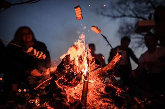Young and cheerful friends sitting and fry marshmallows on the foreground of bonfire