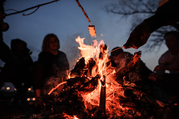 Young and cheerful friends roasting marshmallows near bonfire - obrazy, fototapety, plakaty