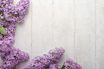Lilac on a light background with an empty space for the inscription.