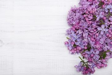 Lilac flowers on white wooden background, copy space,