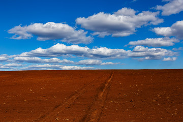 Fototapeta na wymiar Red field for farming with sky and clouds