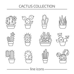 Line icons of cactus