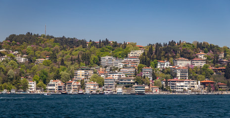 Naklejka premium Buildings in Istanbul City, Turkey