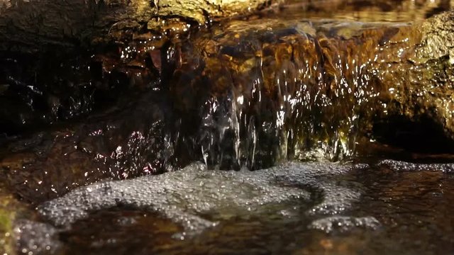 small forest trickle. Slow motion