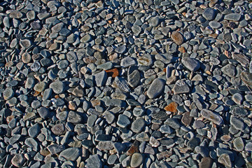 Ocean rock