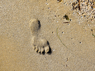Footprints in the sand