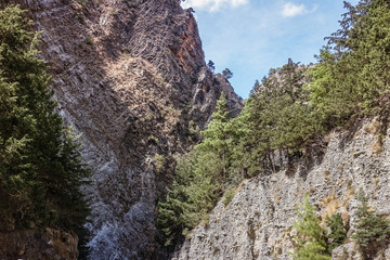 sunny day in the mountains, rest in the nature; a large hill with exposed rocks and a nearby smaller hill with trees