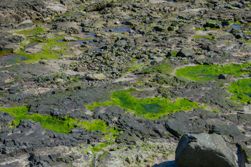 background concept. close up on rock formations on coast of ocean in northern ireland 