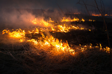 The big extensive fire in the field.