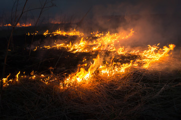 Fototapeta na wymiar The big extensive fire in the field.