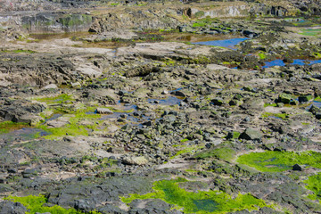 background concept. close up on rock formations on coast of ocean in northern ireland 