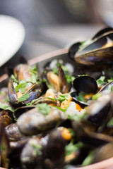 mussels on a plate