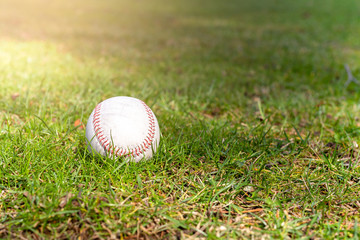 Used baseball laying on green grass