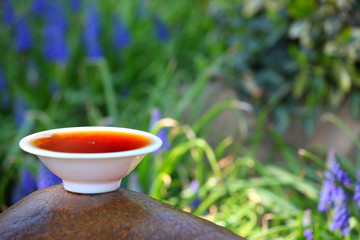 Black Chinese Tea garden