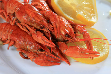 lobsters on dish with lemon slices