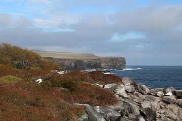 Galapagos -Landschaft