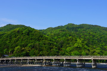 新緑と橋
