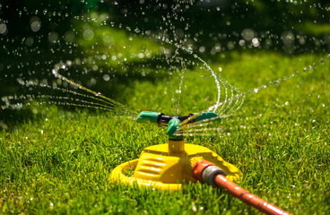 Garden watering of a spring green lawn. Garden equipment