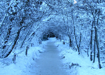 Curry Village Winter