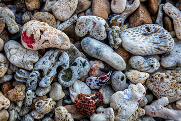 Pebbles and coral background