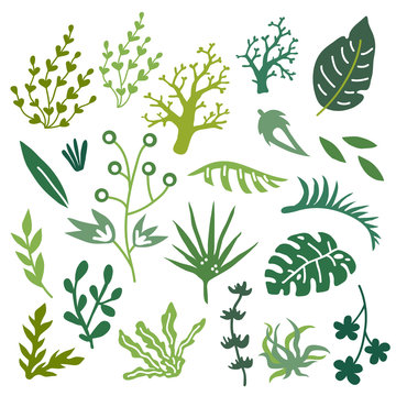 Vector illustration set of hand drawn plants and leaves 