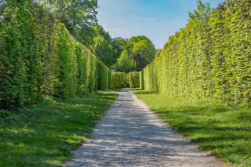 Zielony korytarz