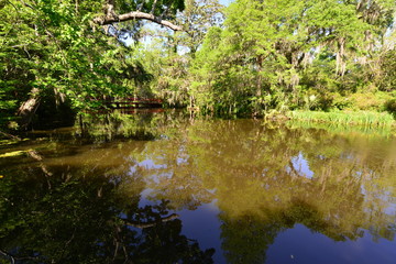 Gardens and a lake at an old Plantation house in South Carolina, USA