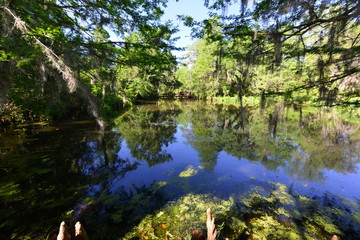 Gardens and a lake at an old Plantation house in South Carolina, USA