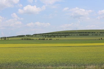 The peace over the field