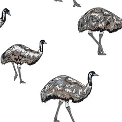 emu birds seamless texture