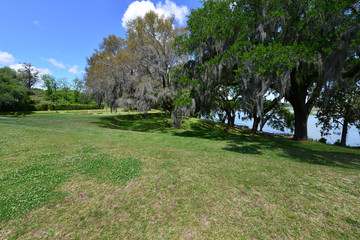 Gardens and a lake at an old Plantation house in South Carolina, USA