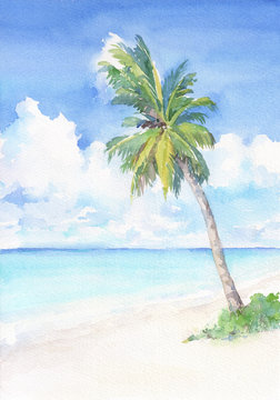 Paradise tropical beach with palm tree. Watercolor hand drawn illustration.