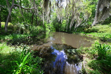 Naklejka premium Gardens and a lake at an old Plantation in South Carolina