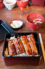 Grilling Unagi eel for Japanese Unagi donburi rice recipe