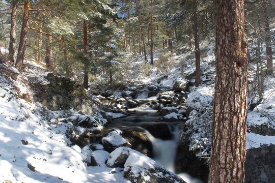 Naturaleza Cascada Rio Agua Somosierra Neve