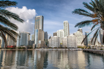 Fototapeta na wymiar Downtown Miami skyline and buildings reflections from Brickell Key. Skyscrapers framed by palms