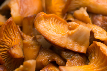 Cooked chanterelle, Cantharellus cibarius