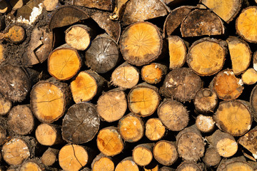 Background of dry logs stacked up on top of each other in a pile