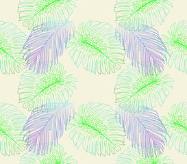 Wallpapers with leaves of tropical plants