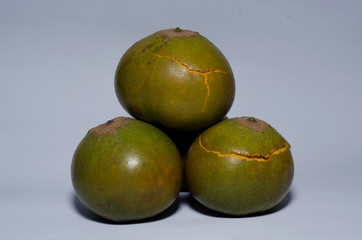 Lucuma. Pouteria lucuma